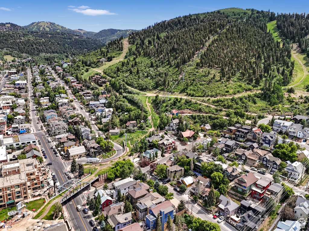 Aerial perspective of suburban area with a forest and mountains