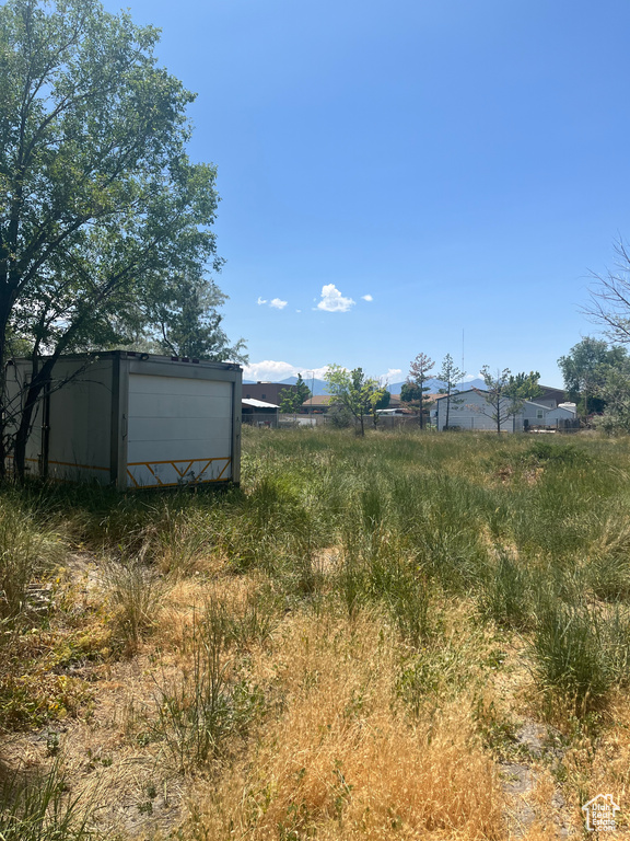 View of yard with a storage unit
