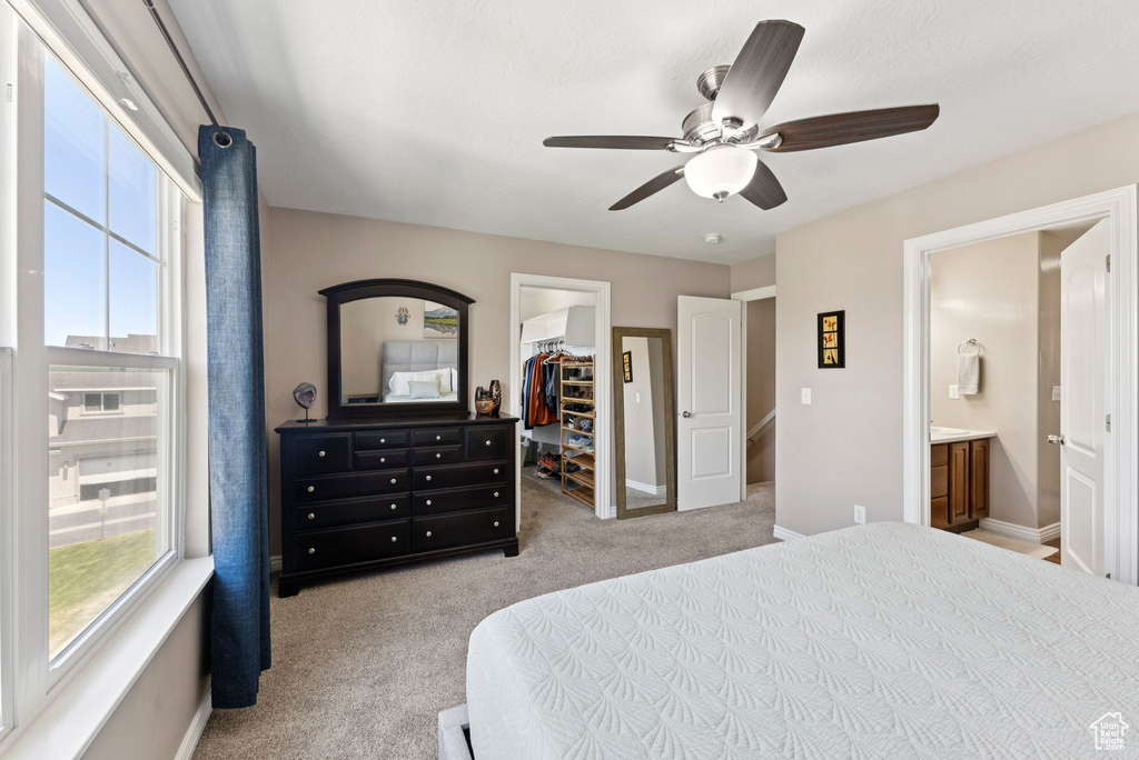Carpeted bedroom with a spacious closet, multiple windows, a closet, and ceiling fan