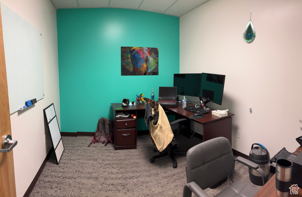 Carpeted home office with a drop ceiling and baseboards