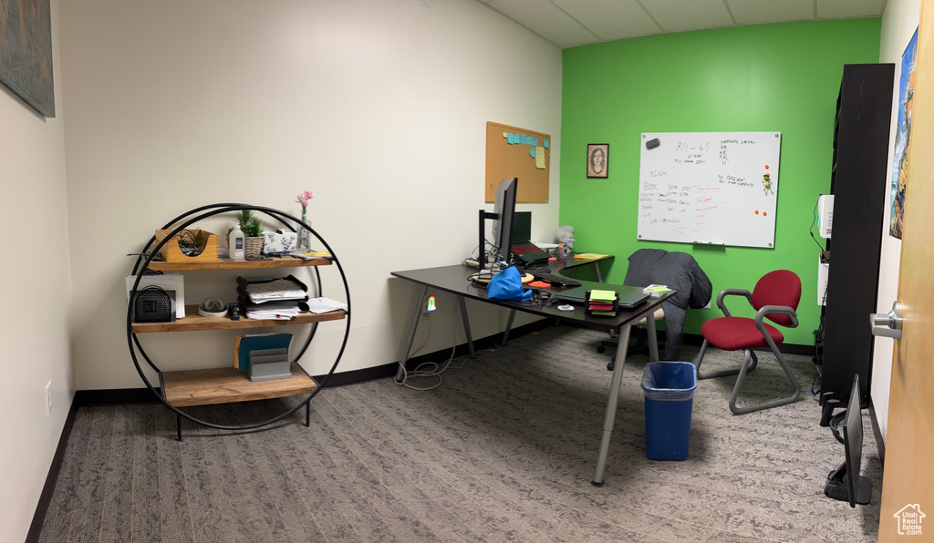 Carpeted office featuring baseboards and a paneled ceiling