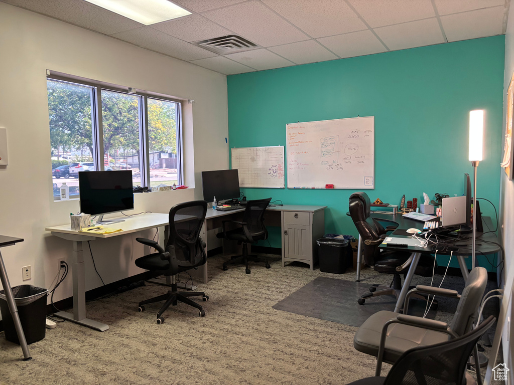 Carpeted office space featuring a drop ceiling