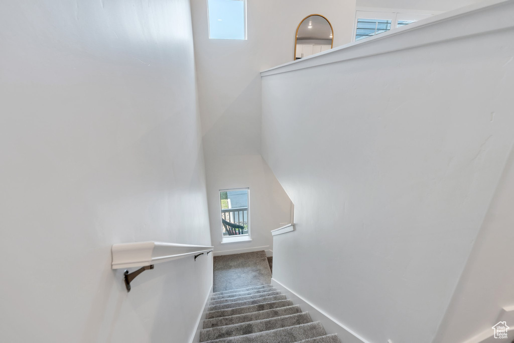 Staircase featuring carpet flooring and a high ceiling