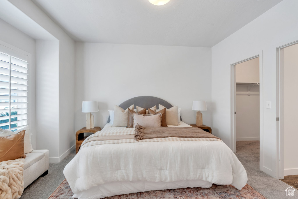 Bedroom with a spacious closet and carpet floors