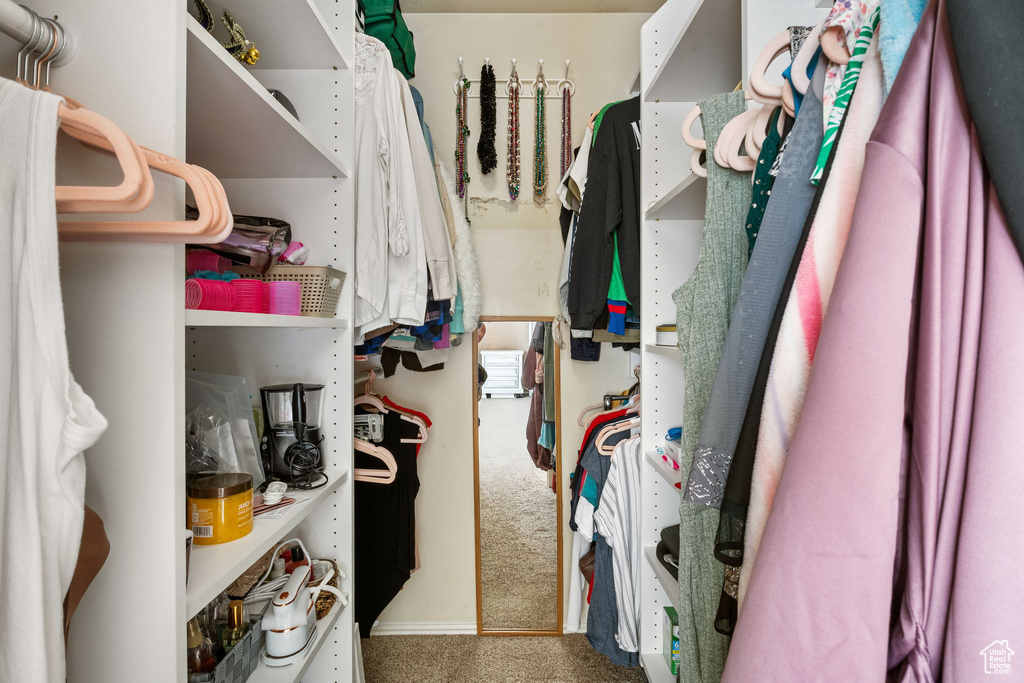 Spacious closet featuring carpet