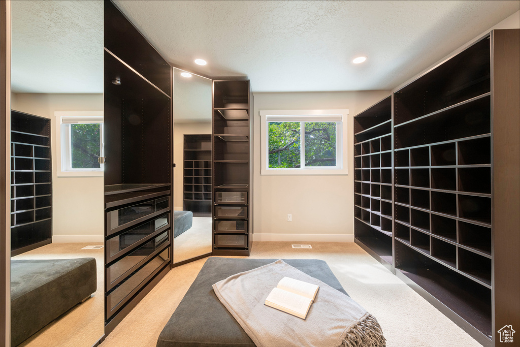 Spacious closet featuring light carpet