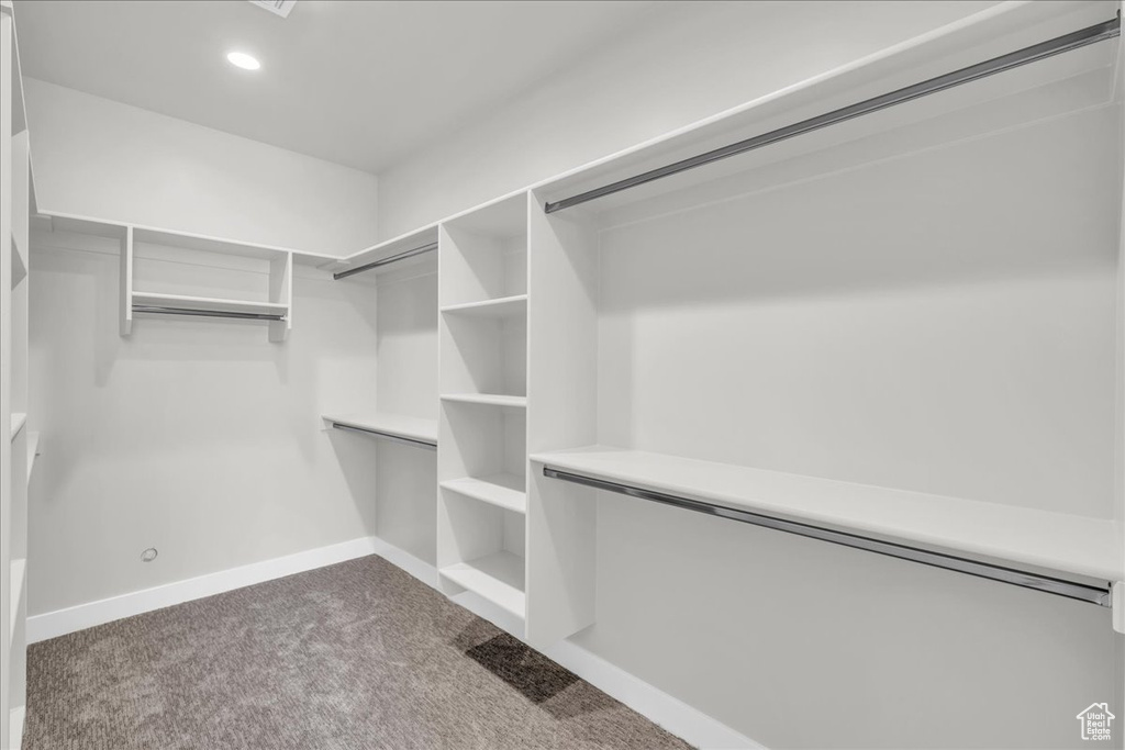 Spacious closet with dark carpet