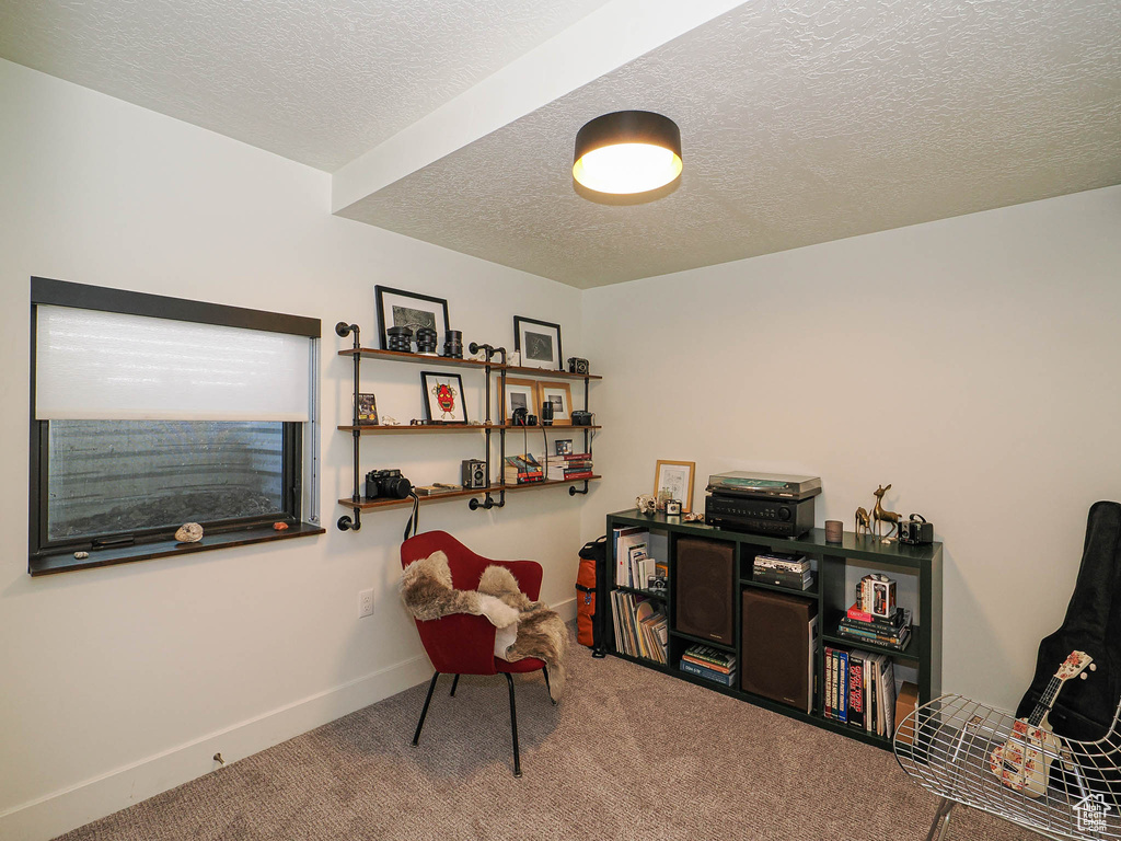 Sitting room featuring carpet flooring and a textured ceiling