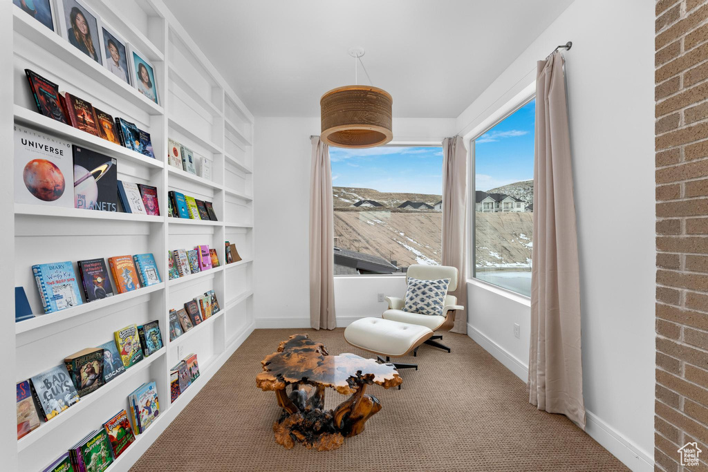 Sitting room featuring carpet flooring and built in features