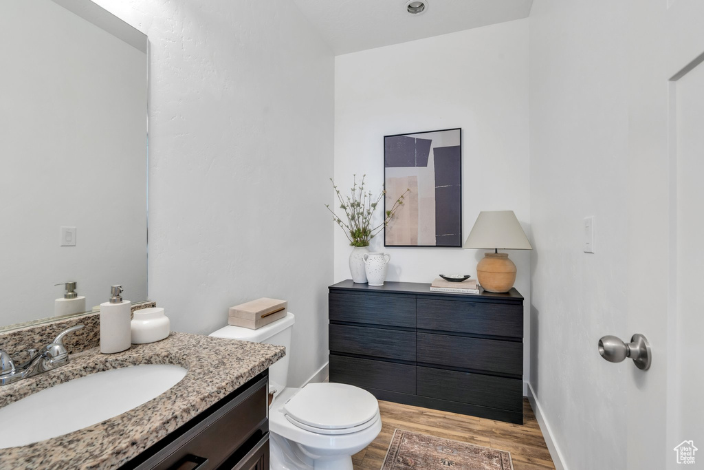 Bathroom featuring wood finished floors and vanity