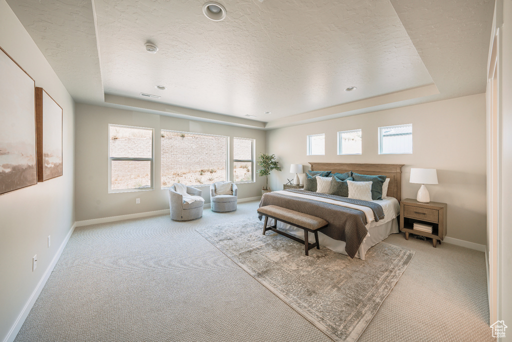 Bedroom with light carpet, a tray ceiling, and a textured ceiling