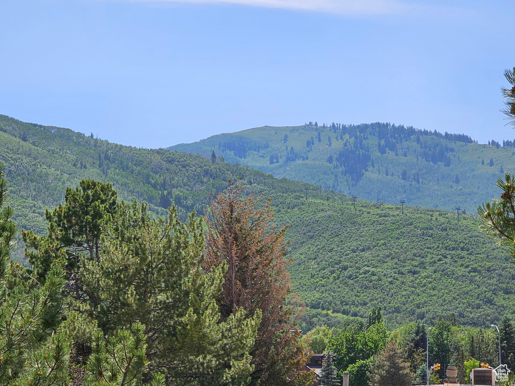 View of mountain background with a forest