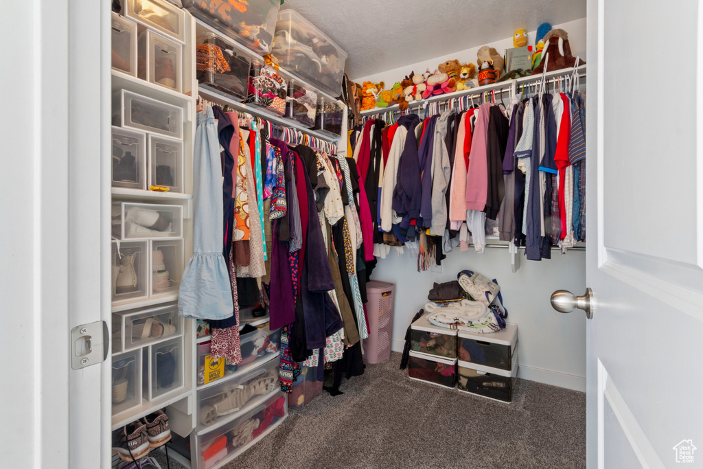 Spacious closet with carpet flooring