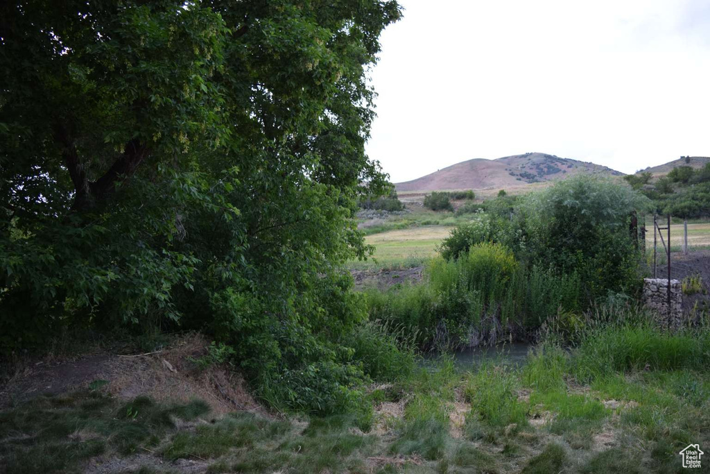 4675  GLENDALE RD Preston, ID 83263