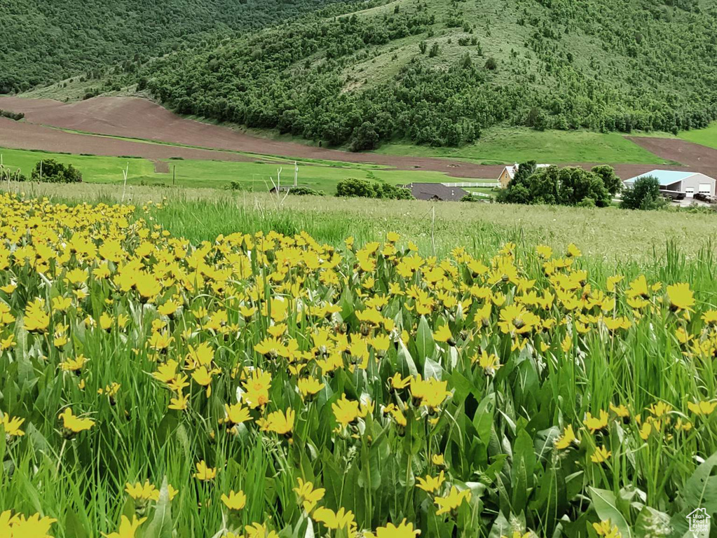 4675  GLENDALE RD Preston, ID 83263