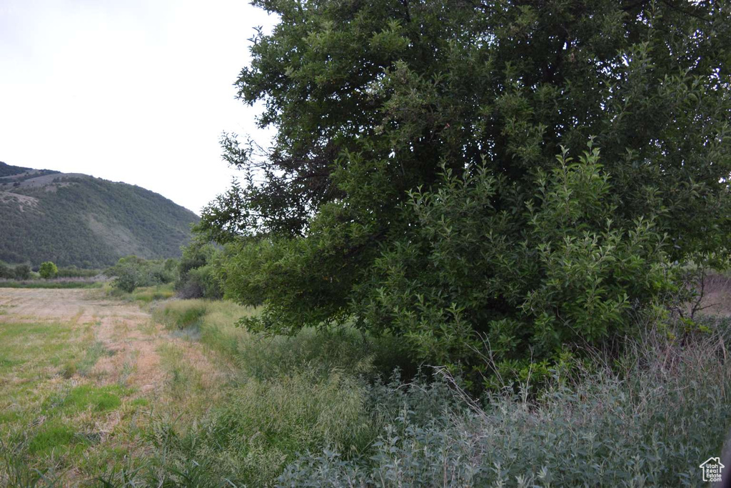 4675  GLENDALE RD Preston, ID 83263