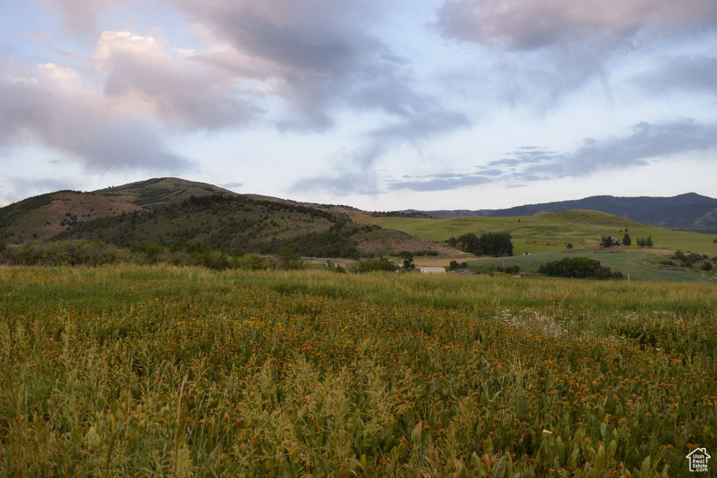 4675  GLENDALE RD Preston, ID 83263