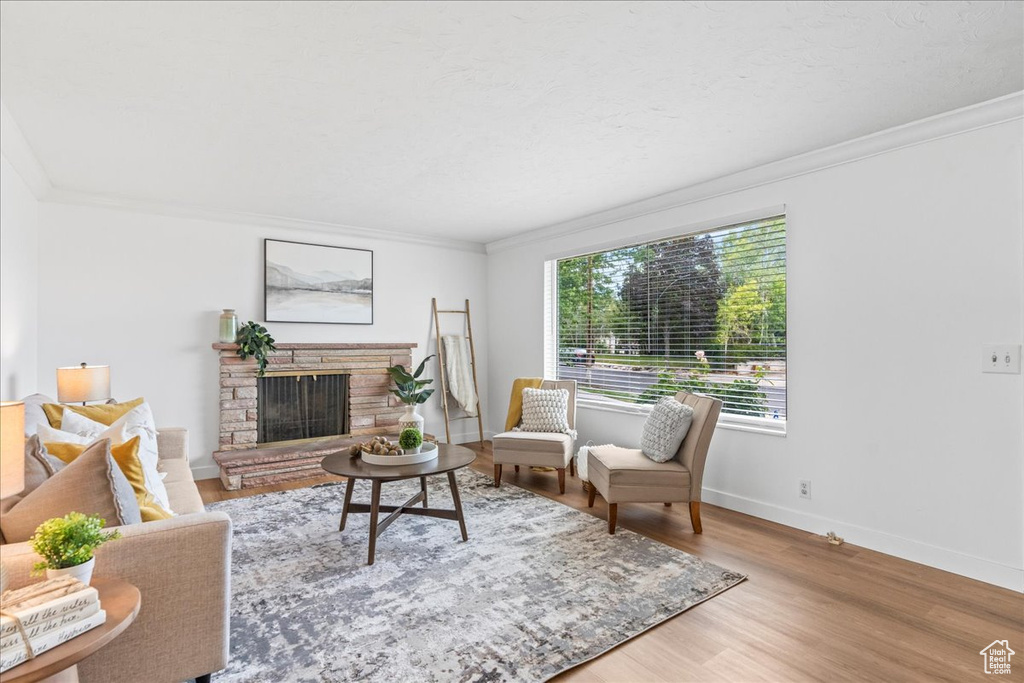 Living room with crown molding, wood finished floors, and a fireplace with raised hearth