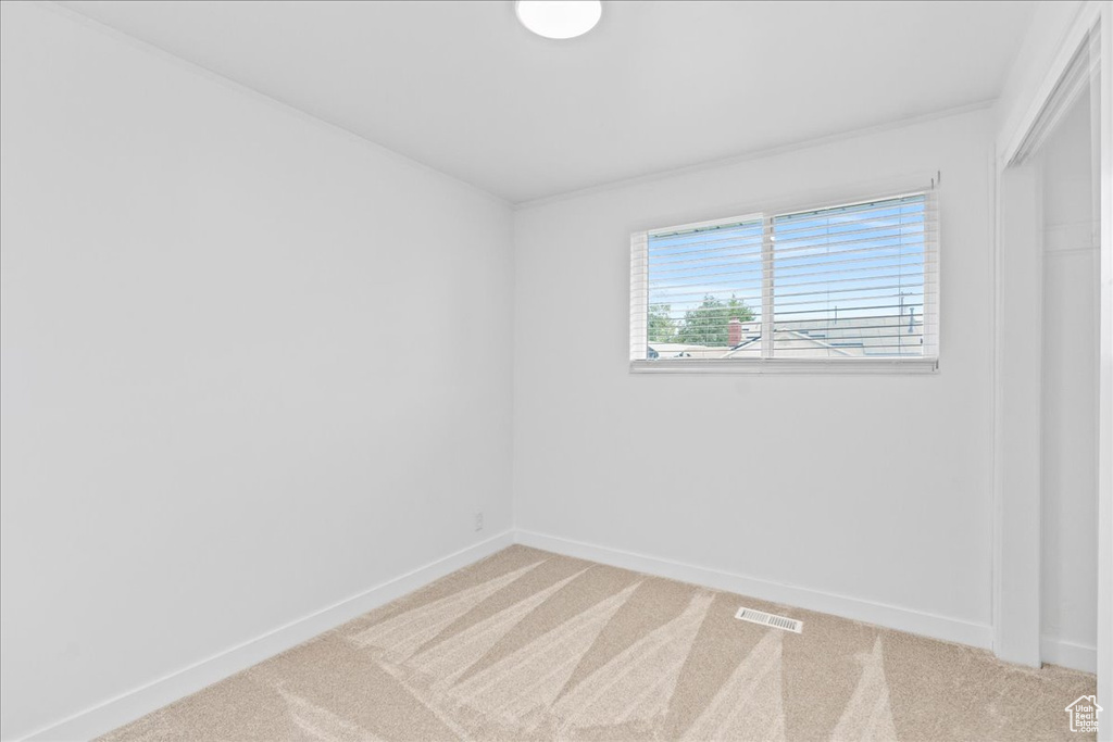 Unfurnished room featuring carpet