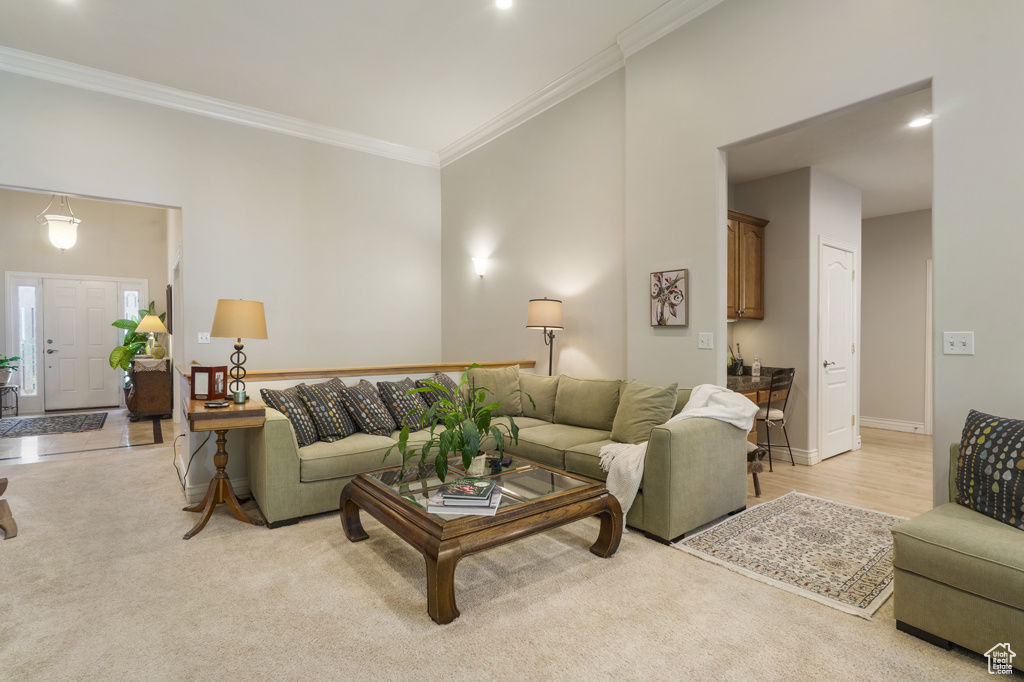 Living area featuring crown molding and baseboards