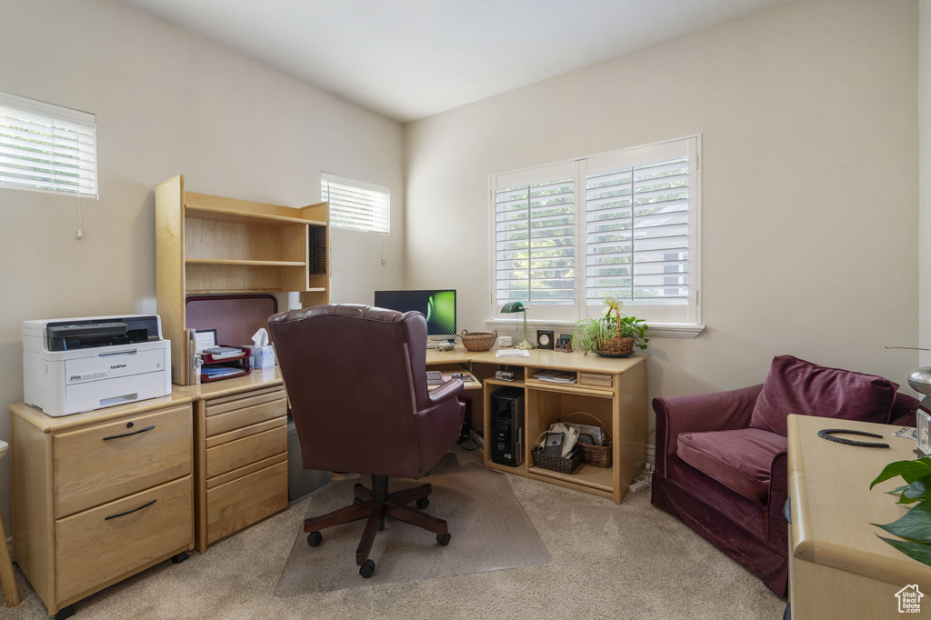 Office space featuring light carpet