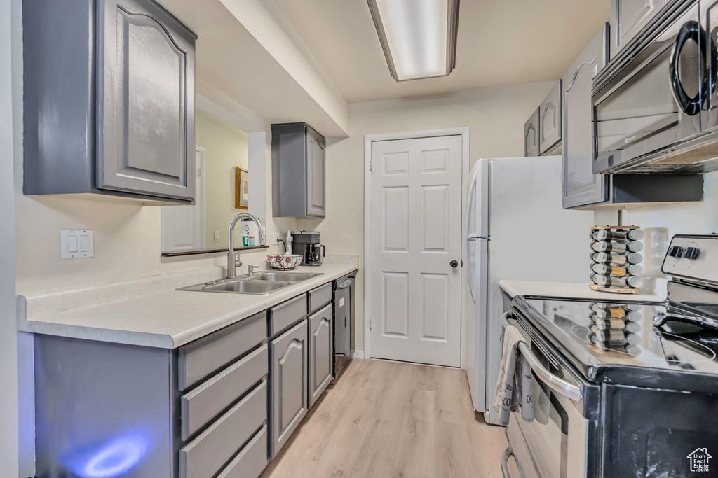 Kitchen with stainless steel appliances, gray cabinetry, light wood-type flooring, and light countertops