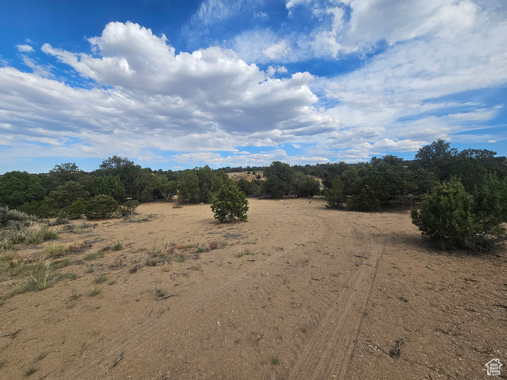 View of undeveloped land featuring rural landscape