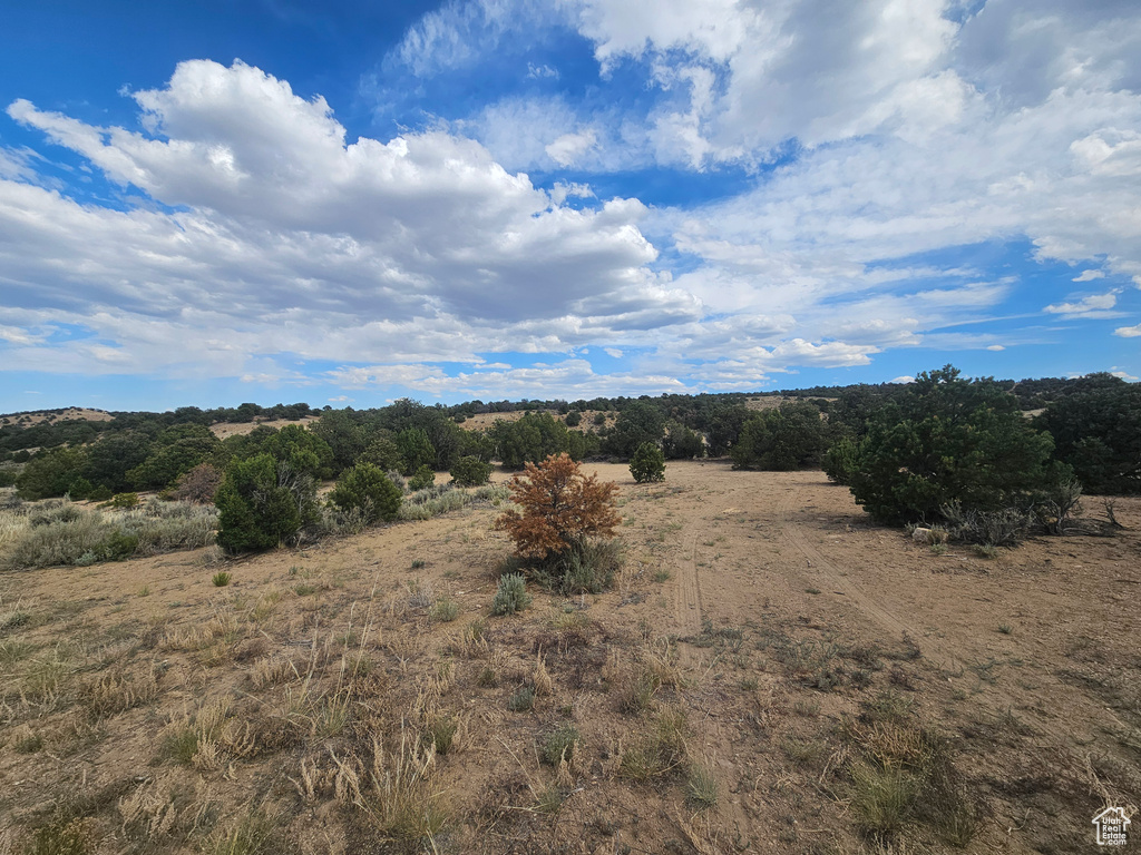 View of undeveloped land featuring rural landscape