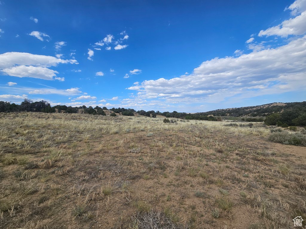 View of yard with a rural view
