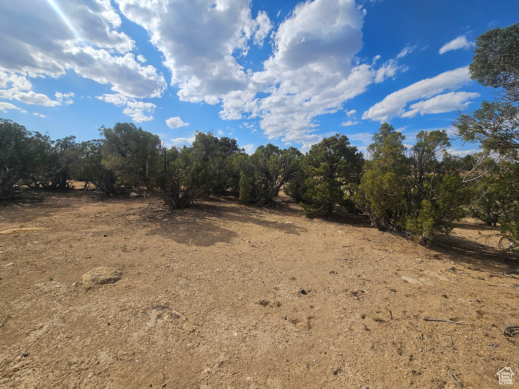 View of local wilderness with rural landscape