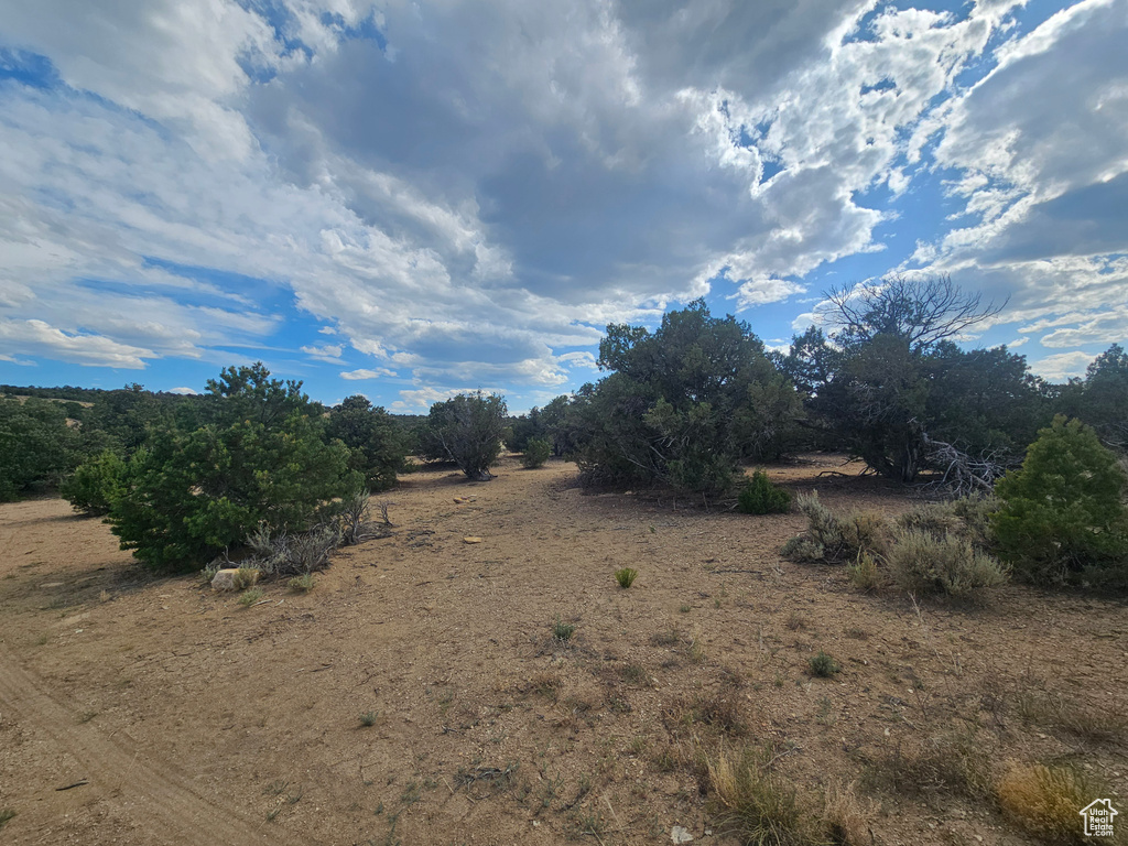 View of nature with rural landscape