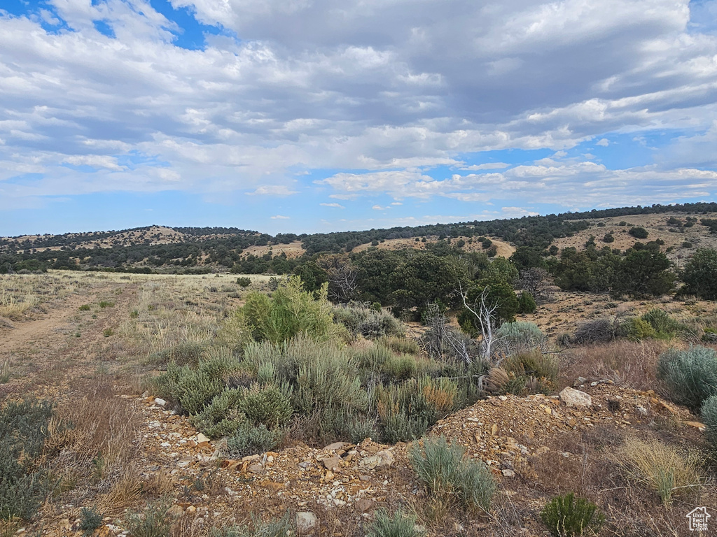 View of mountain background