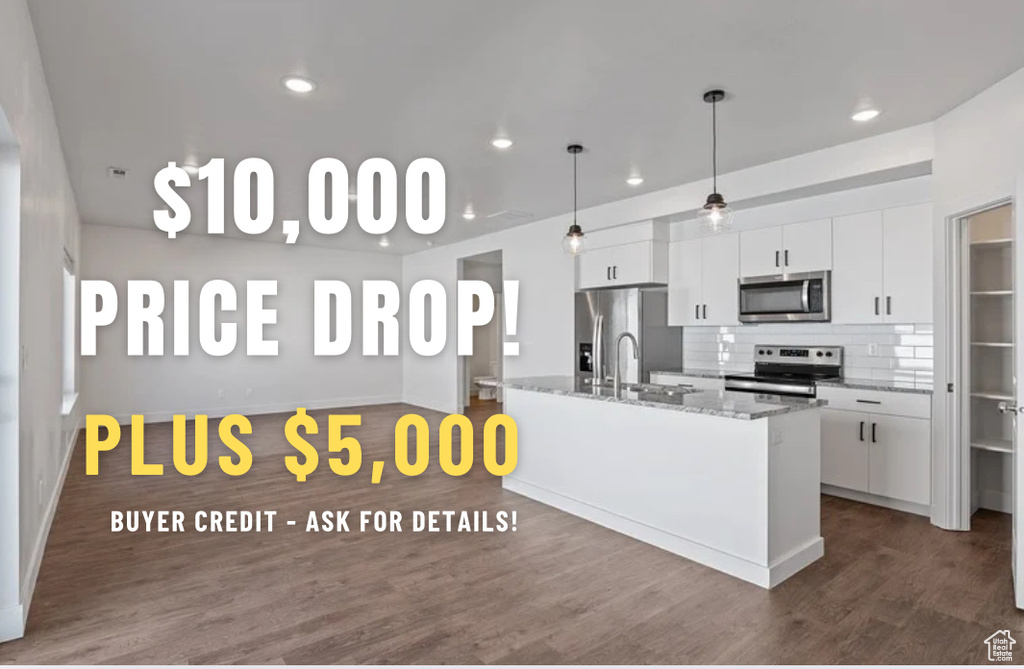 Kitchen featuring appliances with stainless steel finishes, white cabinetry, dark wood-type flooring, recessed lighting, and backsplash