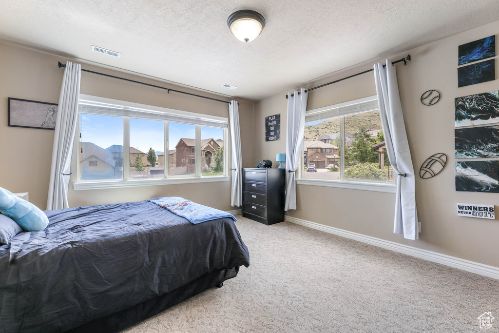 Bedroom featuring carpet flooring and a textured ceiling