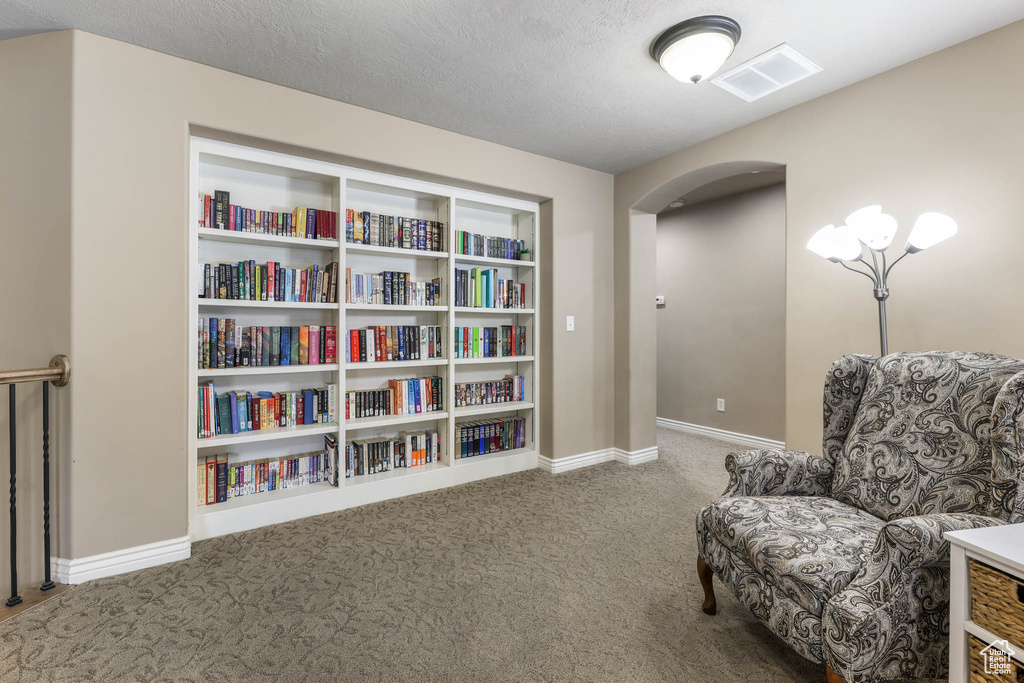 Living area featuring carpet and arched walkways