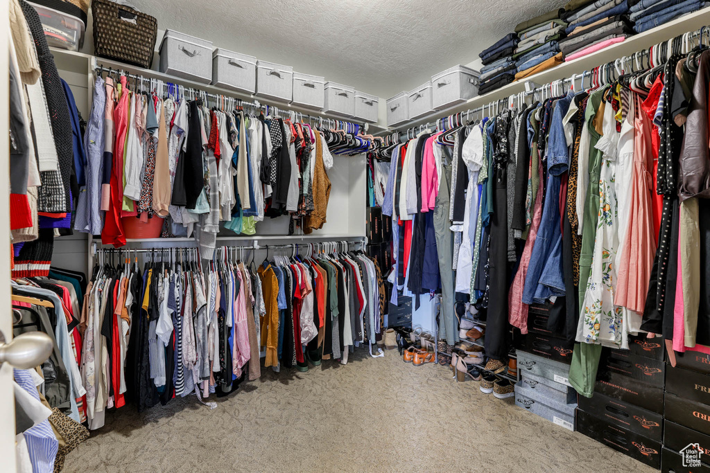 Walk in closet with carpet