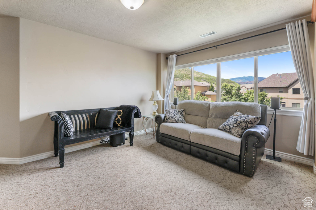 Living room with carpet floors, a textured ceiling, and a mountain view