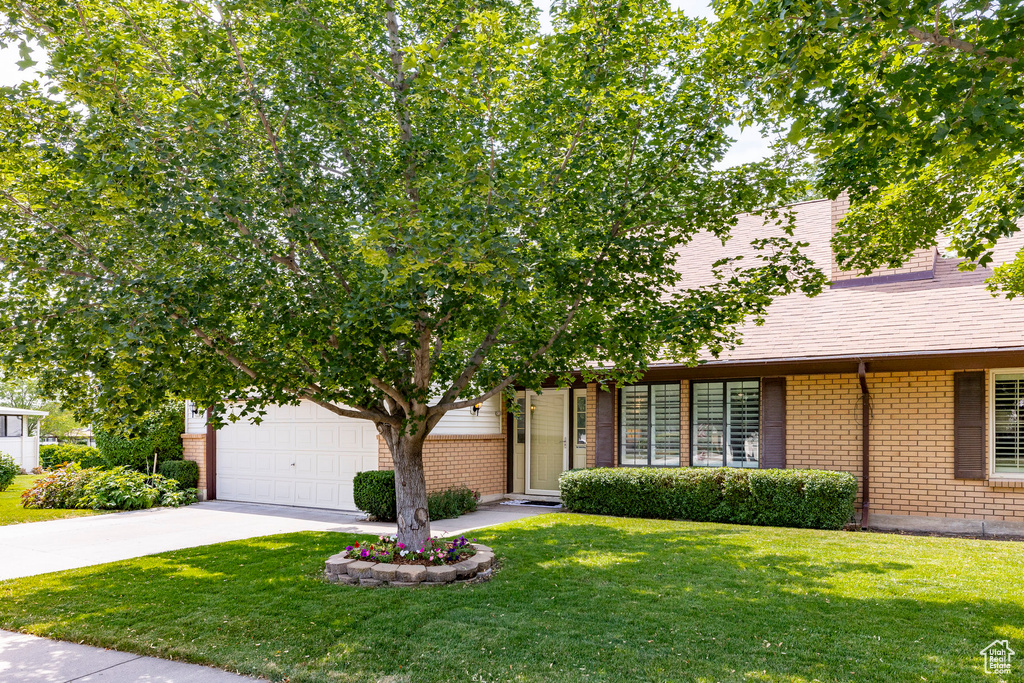 View of front of home featuring brick siding, concrete driveway, a front yard, a garage, and roof with shingles