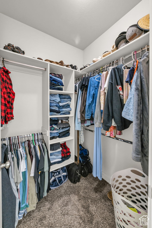 Spacious closet with carpet floors