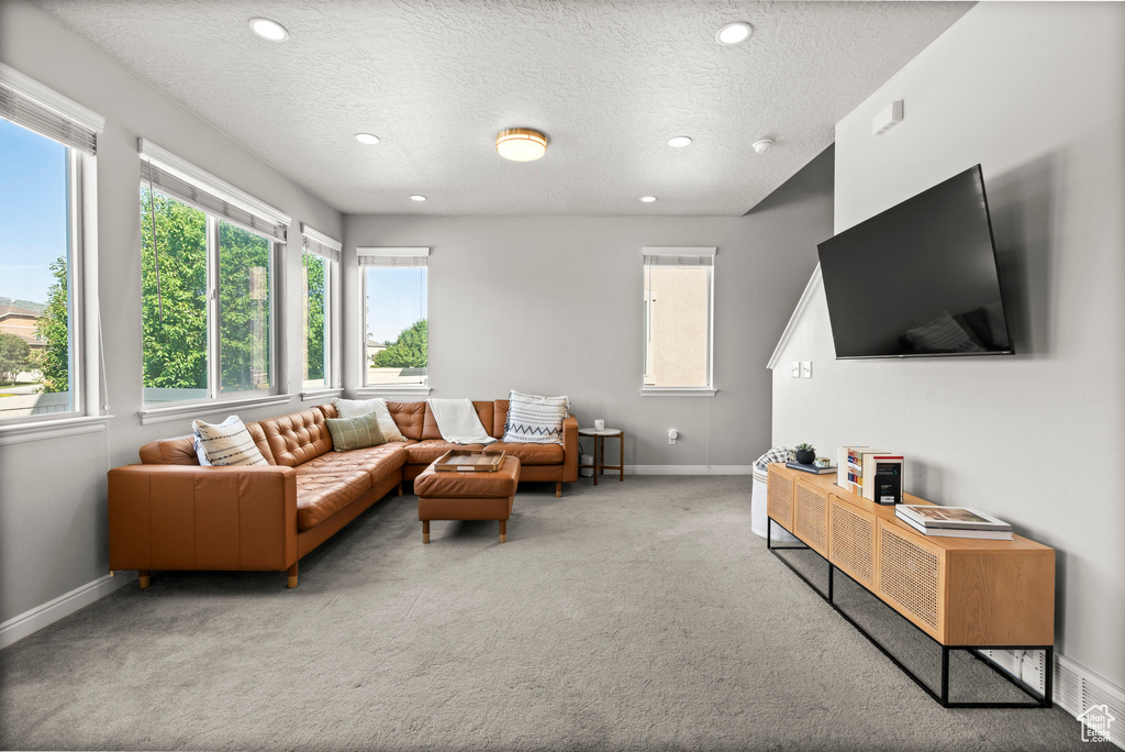 Living area featuring carpet floors, recessed lighting, and a textured ceiling