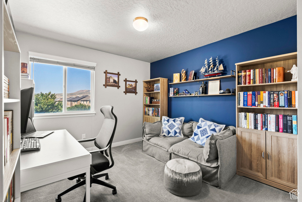 Office space with carpet floors and a textured ceiling