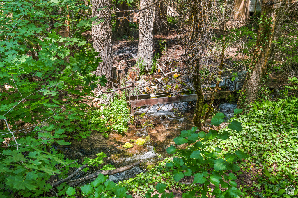 View of undeveloped land