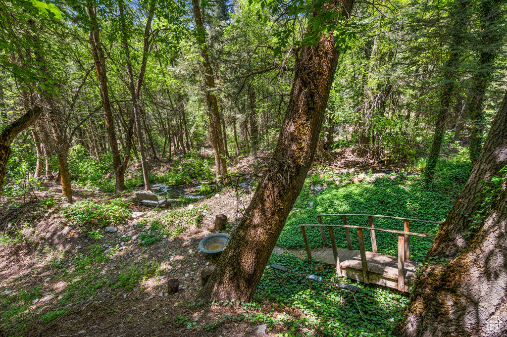 View of yard with a forest view