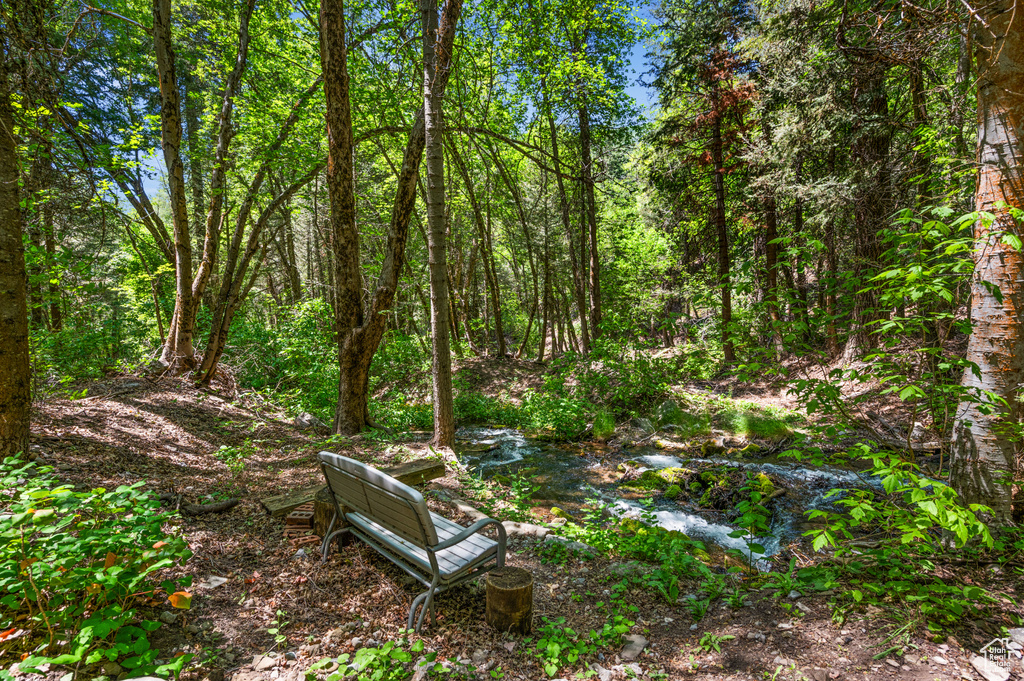 View of yard featuring a wooded view