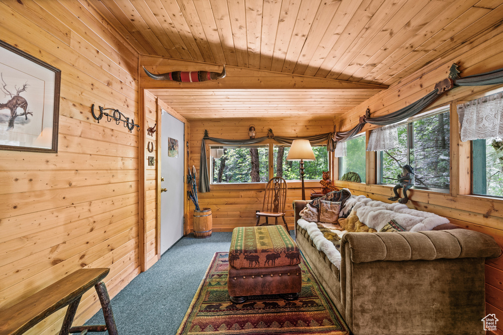 Carpeted living area featuring wood walls and wooden ceiling