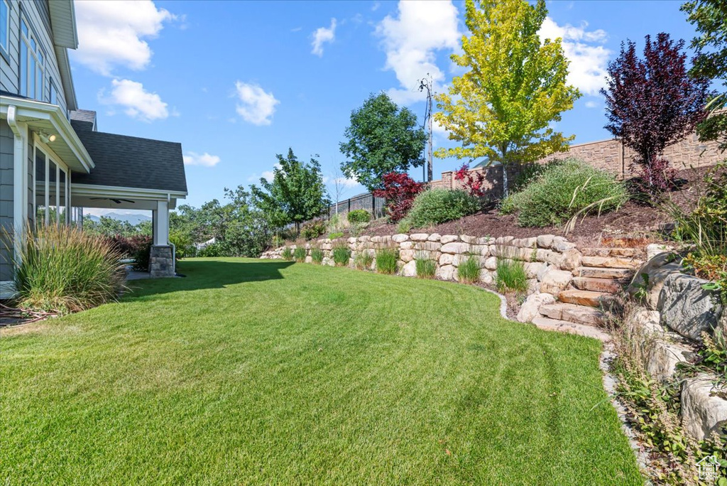 View of yard
