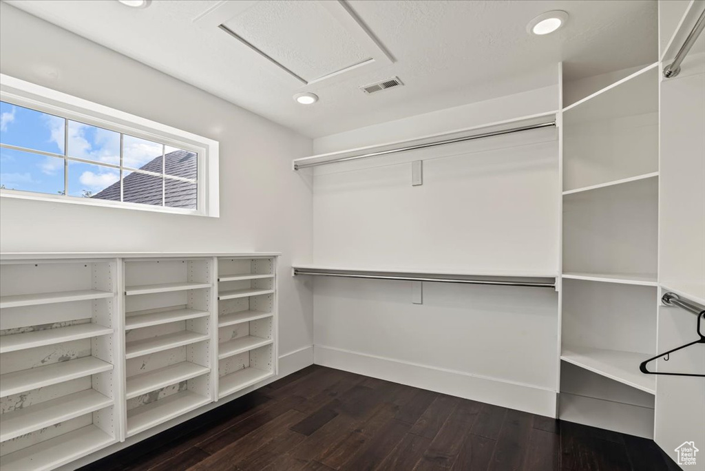 Spacious closet featuring dark wood finished floors