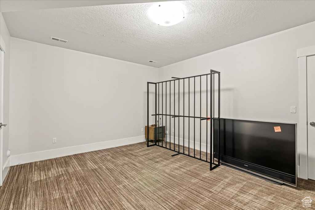 Spare room with carpet and a textured ceiling