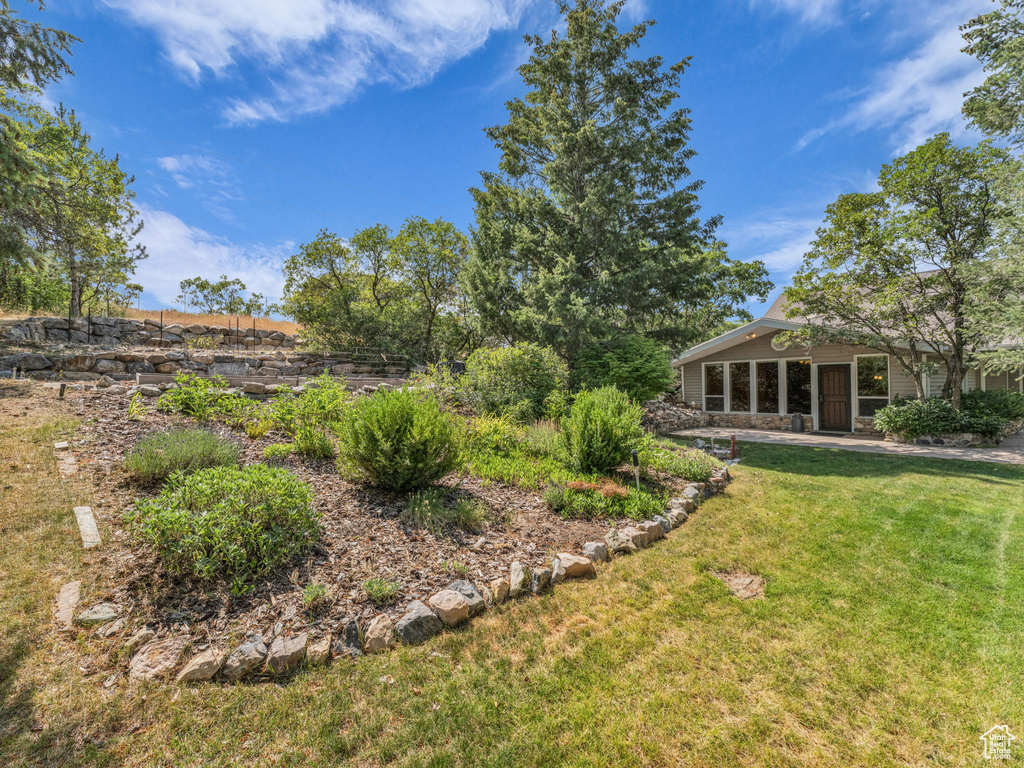 View of grassy yard