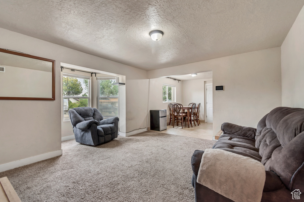 Living room with a textured ceiling and light carpet